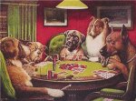 (image for) A Bold Bluff